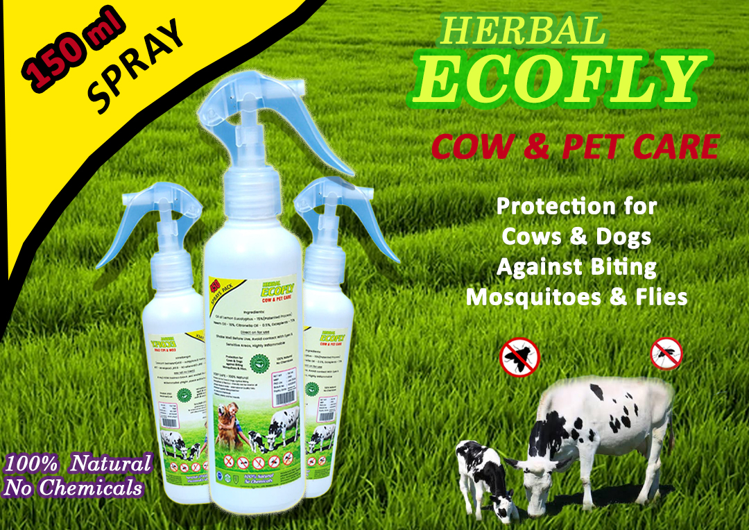Mosquito Repellent